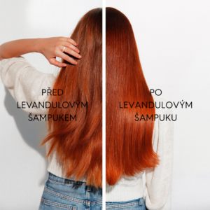 cz levandule