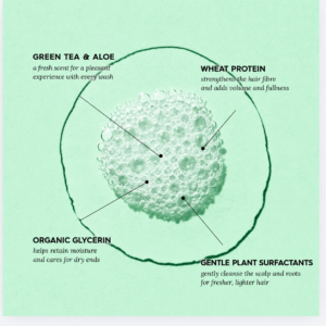 VOONO Nourish & Volumize Shampoo benefits: green tea and aloe, wheat protein, organic glycerin, gentle plant surfactants